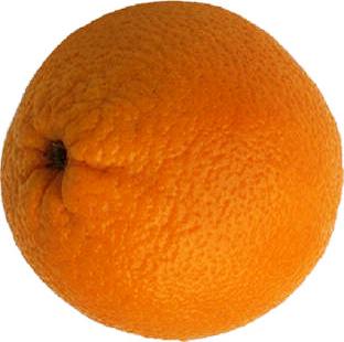 laranja1.jpg
