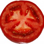 tomate-01